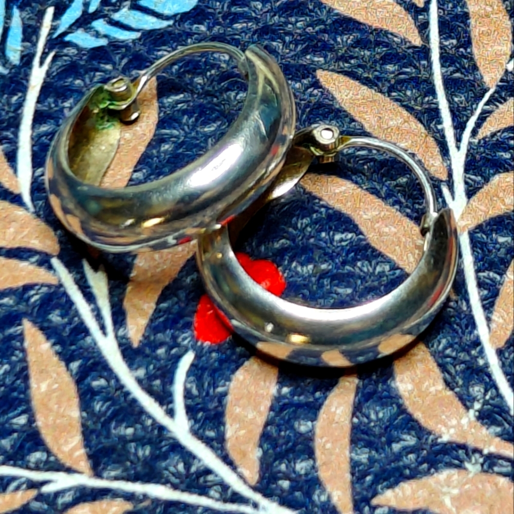 Elegant Silver Hoop Earrings